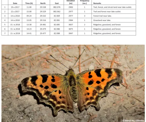 Table 1. Observation location of Nepal Comma Polygonium c-album agnicula at Rara National Park 2017/2018.