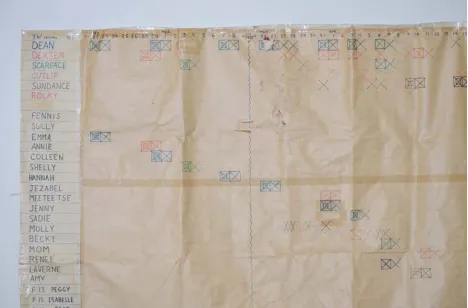 Figure 8: First genealogy chart created for the Black-footed ferret recovery program. Photo taken on July 31, 2012 by Ryan Moehring / USFWS   