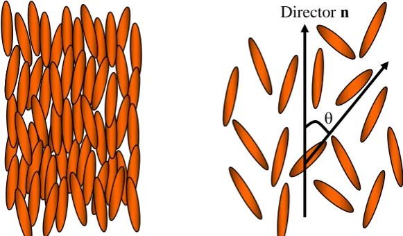 Figure 2.4. Molecular order in a nematic liquid crystal. 