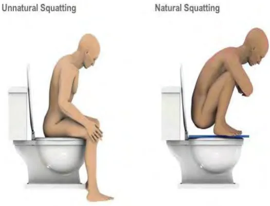 Figure 2.1: Natural and Unnatural Squatting 