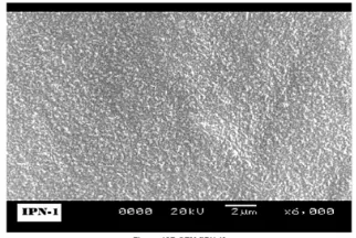 Figure 14A: SEM of IPN-3 