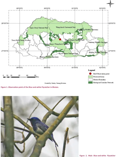 Figure 1. Observation point of the Blue-and-white Flycatcher in Bhutan.