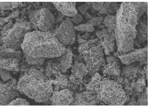 Fig. 1:  SEM image for (CoFe2O4) NPs. 