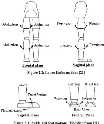 Figure 2.3: Ankle and foot motions. Modified from [21]