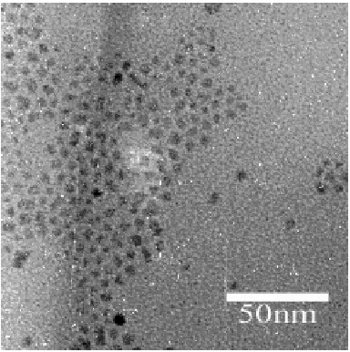Fig. 3 shows the typical TEM images of the as-prepared oleic acid capped CdS nanocrystals with the absorption peak at the 470 nm, the TEM image demonstrates that the sizes distribution of the nanocrystals are nearly monodispersed, the average size of the n