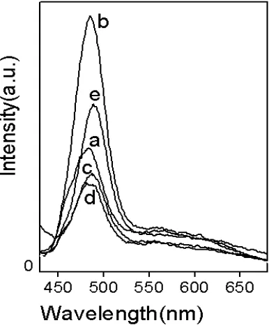 Fig. 6 The TEM image of the CdS/ZnS core-shell nanocrystals 