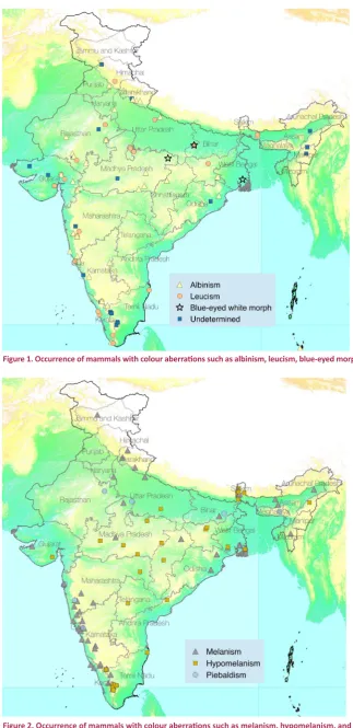 Figure 1. Occurrence of mammals with colour aberrations such as albinism, leucism, blue-eyed morph, and those that are undetermined in India.