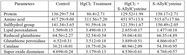 Table 1: Changes in the level of Lipid peroxidants and antioxidants in kidney tissue of experimental rats  treated with mercuric chloride followed by S-AllyleCysteine  