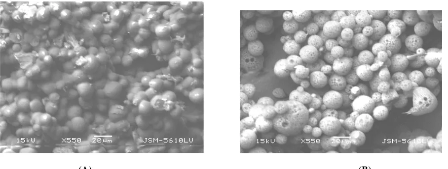 Figure 7. Influence of NaCl concentration to the external phase on the encapsulation efficiency and initial  release of BSA loaded microparticles