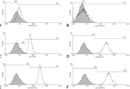 Figure 2. Flow cytometric analysis of specific negative and positive cell surface markers of BM-MSCs