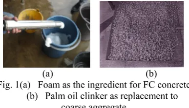 Fig. 1(a)   Foam as the ingredient for FC concrete 