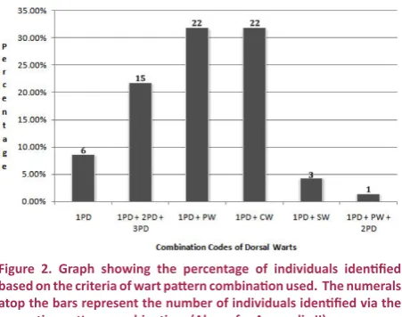 Table 2. Dorsal wart pattern combinations used for individual identification of toads.