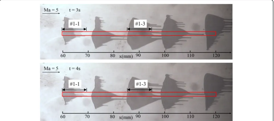 Fig. 7 Optical path design of oil-film interferometry experiment in NHW