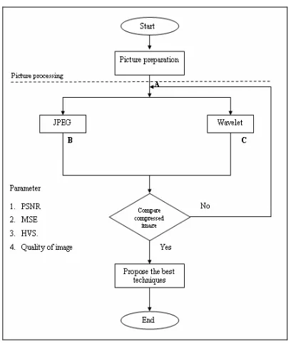 Figure 1: Flowchart of project implementation. 