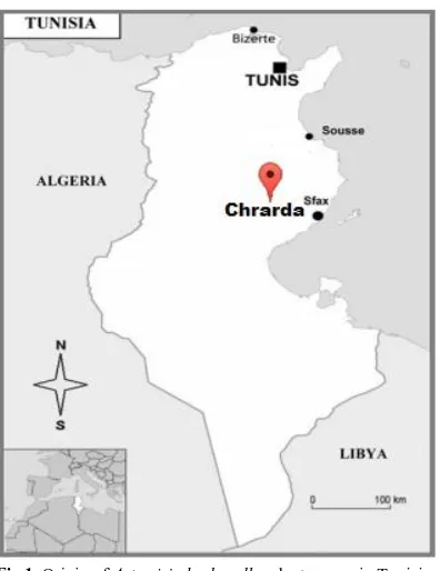 Fig 1. Origin of Artemisia herba-alba plant grown in Tunisia.  