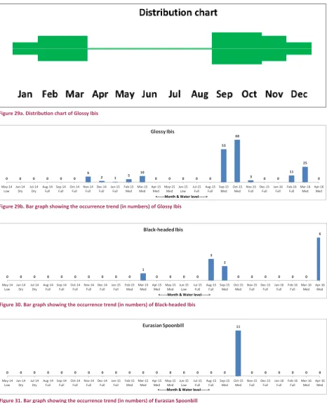 Figure 29a. Distribution chart of Glossy Ibis