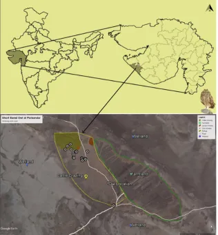 Figure 1. Study area (Shiroda island of Mokarsagar) of Short-eared Owl covering 