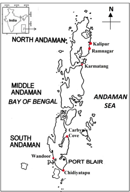 Figure 1. Study area
