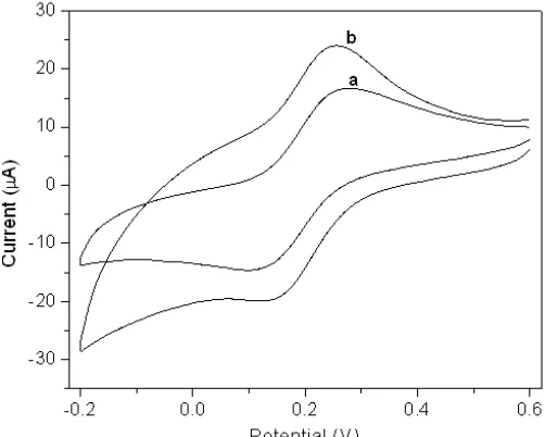 Fig. 2. (A) Cyclic voltammograms of 5mM of vanillin on CPE (a) and LCPE (b) in 0.1M PBS pH 7.0; Scan rate: 10 mVs -1