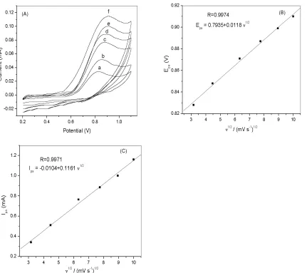 Fig. 3. A) Cyclic voltammograms of 5mM vanillin on LCPE at different scan rates, a →in 0.1M phosphate buffer solution, pH 7.0