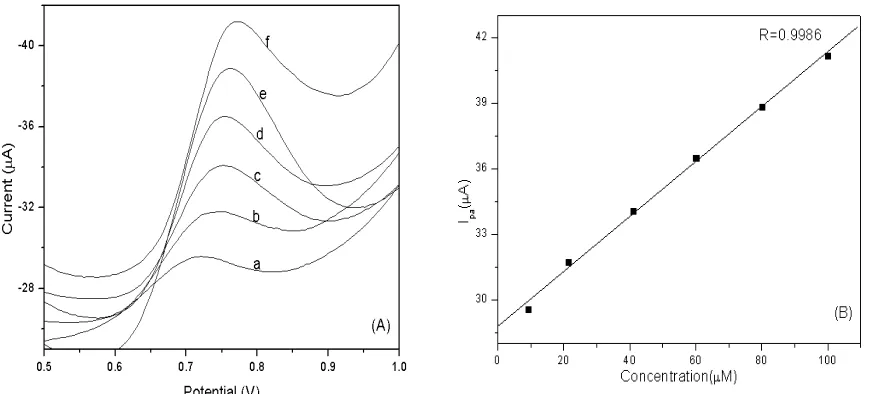 Fig. 4. (A) Differential pulse voltammograms of solutions containing various concentrations of Vanillin, a  →→→→f: 10, 20, 40, 60, 80 and 100µM