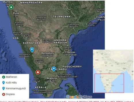 Figure 1. Litsea oleoides (Meissn.) Hook.f. - Map of distribution in India.  Imagery © 2017 Data SIO, NOAA, U.S
