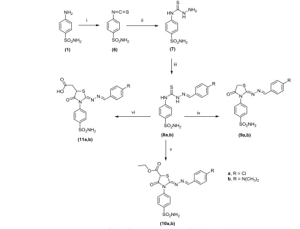 Figure 1b). These dimmers are connected to the next dimer through N-H∙∙∙O hydrogen bonds, between the terminal amide group and the C=O group of the thiazolidinone 