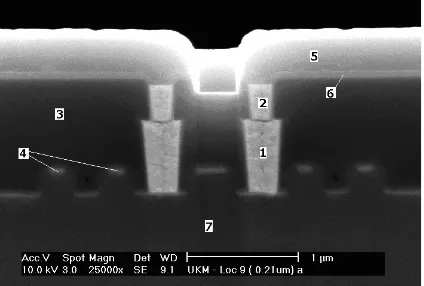 Figure 11. The cross-section of 0.21µm CMOS device.Number 1-7 represent the different locations that have been tested.