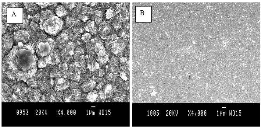 Fig. 6. SEM images for two samples after 15 days immersion 3.5% NaCl solution (A) without  additive, (B) with additive 