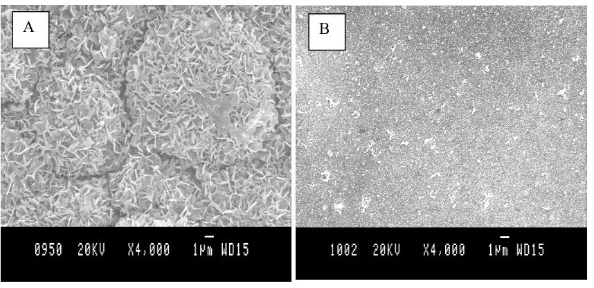 Fig. 8. SEM images for two samples of coating thickness 7.5 µµµµm after potentiodynamic polarisation (A) without additive, (B) with additive 