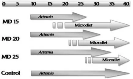 Figure 1. Early weaning protocol during the experiment.  