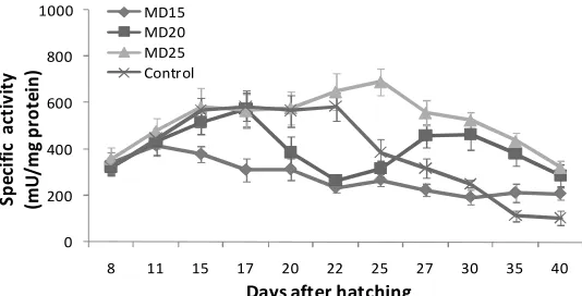 Figure 3.  The specific activities of acid protease assayed whole larvae homogenates in groups MD15 (), MD20 (), MD25 () and Control ()