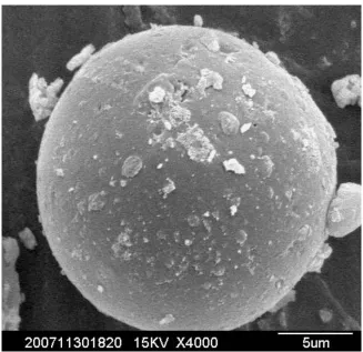 Fig.   2.  Optical microphotograph of OSA-MPs (100). 