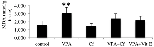 Fig. 1:   Effect of VPA, plant extract and vitamin E on lipid peroxidation (TBARs content) in kidney Data are reported as means ± SD