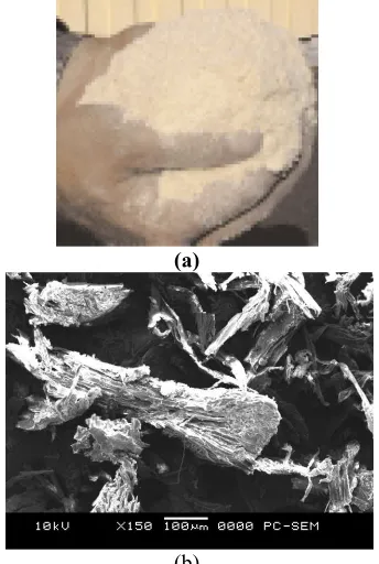 Fig. 2 (c)           (d) Photograph images of (a) Timber block (b) Processed wood  (c) Sanding machine (d) Wood powder collector 