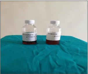 Figure 1: Prepared Plant Extracts. 