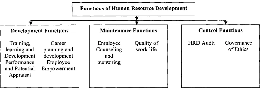Figure 3: Human Resource Development Functions 