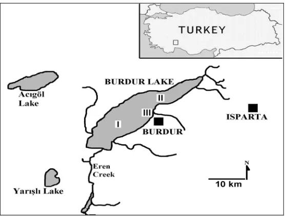 Figure 1.   Map of Lake Burdur and sampling stations. 