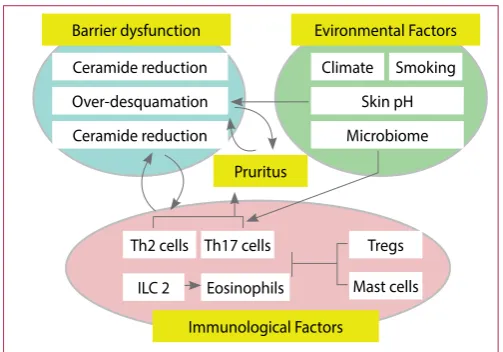 Figure 6 depicts the interplay among contributing factors in the pathogenesis of AD and pruritus as a characteristic feature of the disease