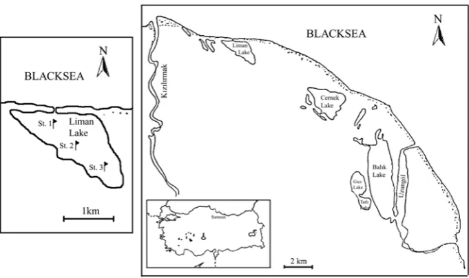 Figure 1.   Map of the studied area and sampling stations. 