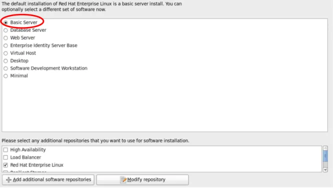 Figure 4: Install RHEL 6.1 with Basic Server mode