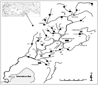 Figure 1. The map of the working area and streams locations.  