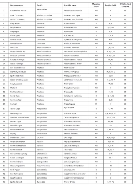 Table 1. Checklist of the  bird species observed at Tundi Camp