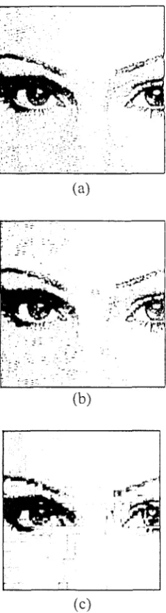 Figure 1-1: Compression of an image (a) original image, (b) 10:1 compression ratio, (c) 