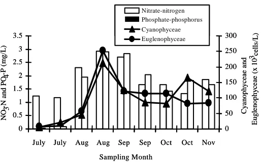 Figure 1. (x10 Effect of nitrate-nitrogen and phosphate-phosphorus (mg/L) on the growth of Cyanopyceae and Euglenophyceae 3 cell/L) in Treatment 1