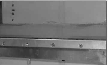 Figure 3.6 : Weak Jump 
