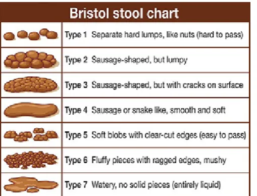 Figure 1. The Bristol stool chart12 