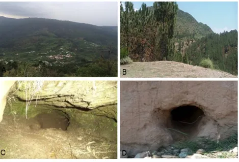 Figure 3. Average parameters of inactive and active living / permanent / resting burrows of the Indian Pangolin Manis 