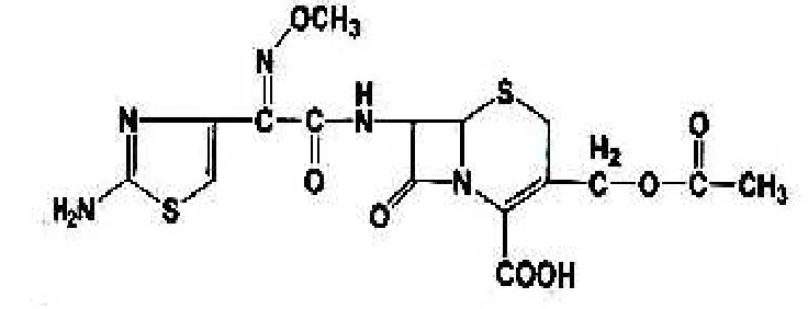 Fig 3. The structure of cefotaxime (Anacona and  Silva 2005) 