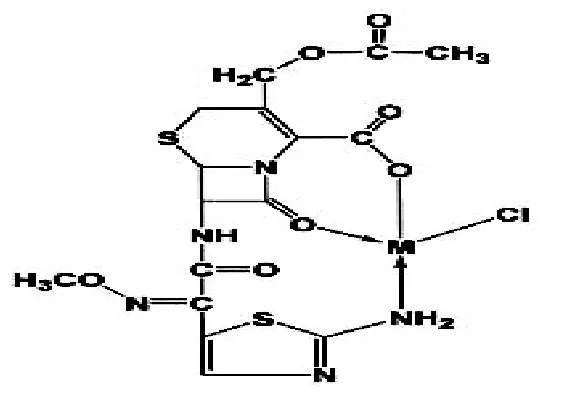 Fig. 4. Tentative structure of the cefotaxime metal complexes [M(cefotax)Cl], ( M = Mn(II), Co(II), Ni(II), Cu(II) and Cd(II))